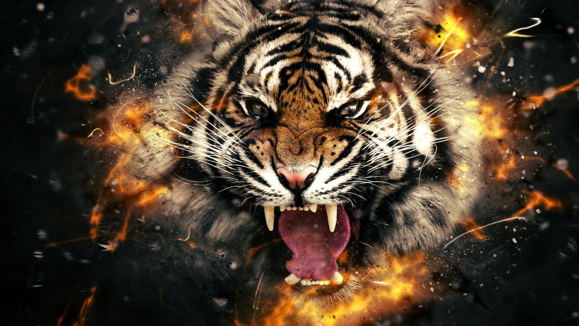 Tiger Player For Mac Download